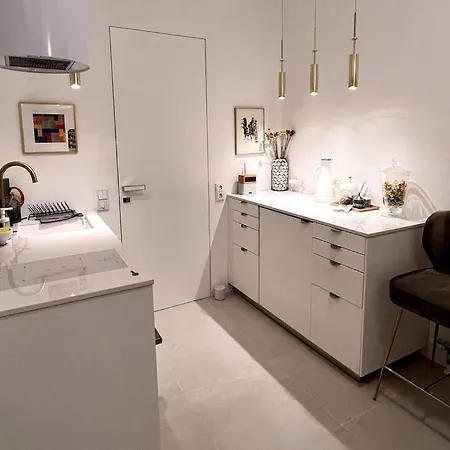 Appartement Exclusive In Historic Center Linz